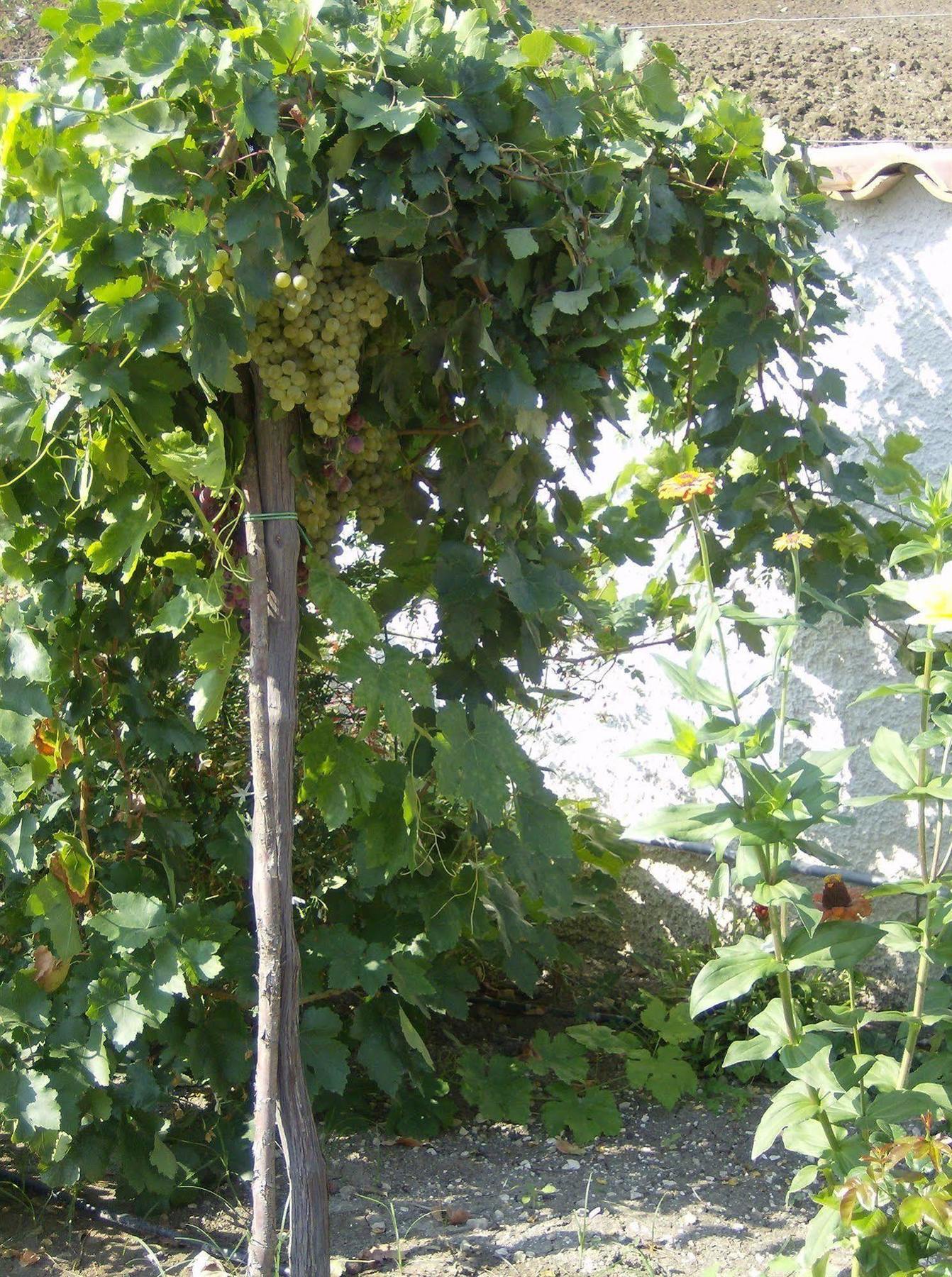 Casale Margherita Cammarata Zewnętrze zdjęcie